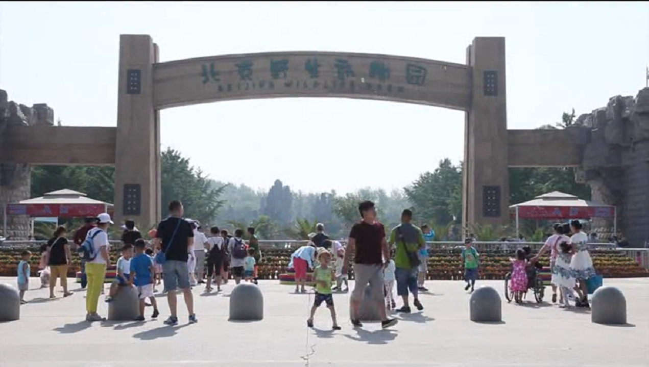 鉴黑担保网(jhdbw)·最具权威唯一维权担保平台